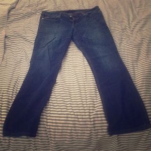 Joe’s honey fit w 32 jeans